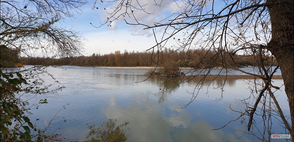 CONFLUENT du fleuve Rhône et de la rivière AIN
