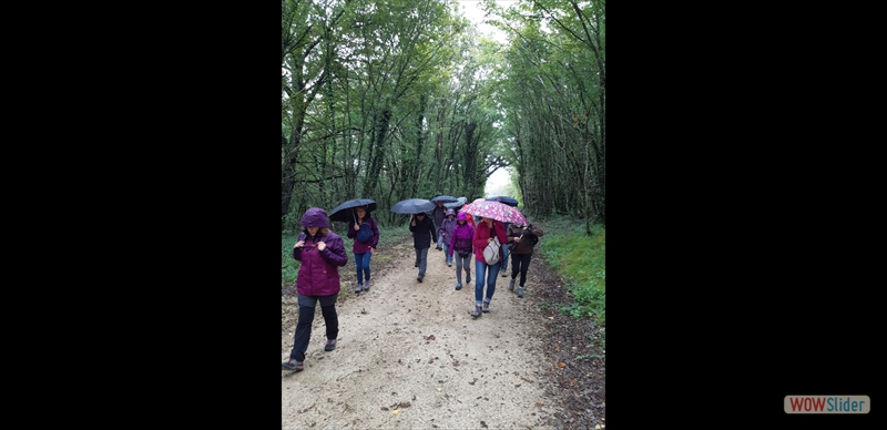 Quelques gouttes de pluie sur le parcours