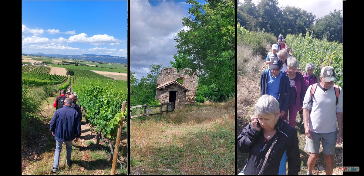 Traversée des vignes
