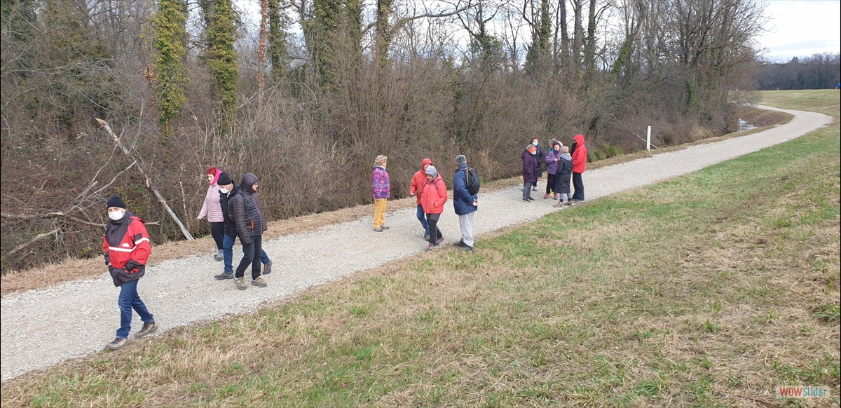 Rive droite du canal